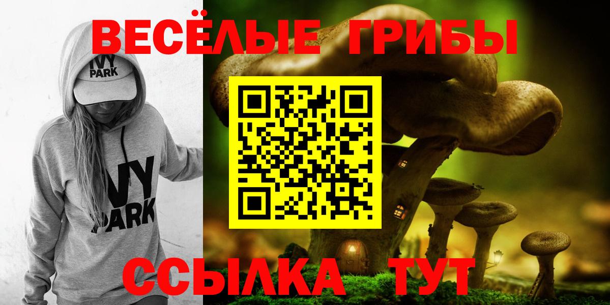 Галлюциногенные грибы Cubensis  Галлюциногенные грибы Cubensis  Вход с VPN  Соль-Илецк 
